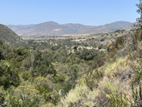 View looking west along the San Luis Rey River valley in the preserve. Agua Tibia Mountain is in the distance.